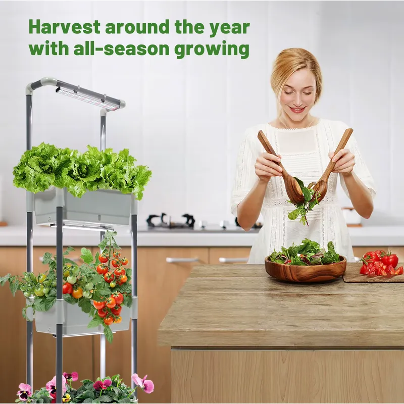 Kit Tanaman Dalam Ruangan deng - Urban Farming Hydroponic System ulasan dan harga